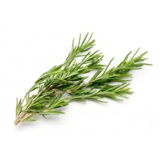 Extract Rosemary Extract Concentrated Flavor